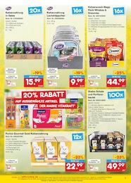 Fisch Angebot & Preis im aktuellen Netto Marken-Discount Prospekt Fisch Angebot im aktuellen Netto Marken-Discount Prospekt auf Seite 7