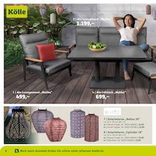 Gartenhocker Angebot & Preis im aktuellen Pflanzen Kölle Prospekt Gartenhocker Angebot im aktuellen Pflanzen Kölle Prospekt auf Seite 8