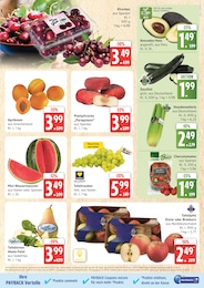 Staudensellerie Angebot & Preis im aktuellen Marktkauf Prospekt Staudensellerie Angebot im aktuellen Marktkauf Prospekt auf Seite 5